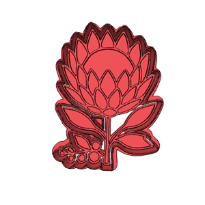 Protea Koekie Drukker