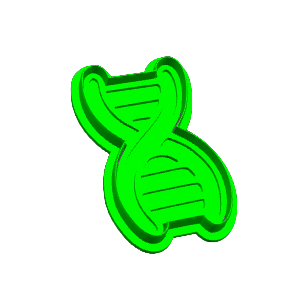 DNA Cookie Cutter